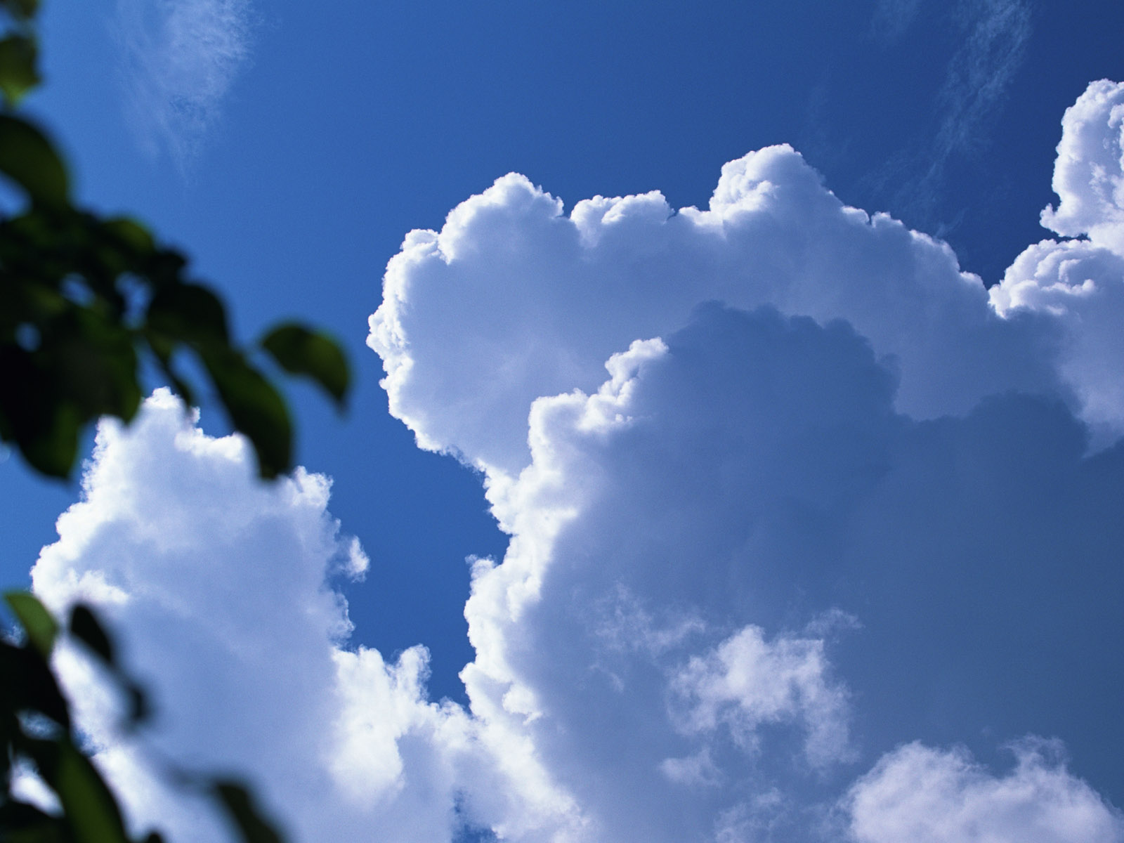 1600cloudsky_1020.jpg